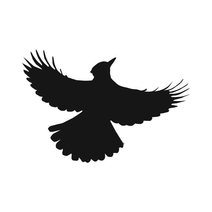 Weeping Willow (fan fiction) – The Official Book&nbsp;Trailer