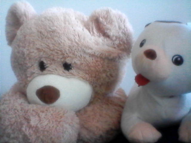 A Stuffed Animal Saga Tour – Season&nbsp;Special!