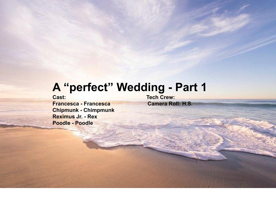 Stuffed Animal Saga! Season 4 – Episode&nbsp;1